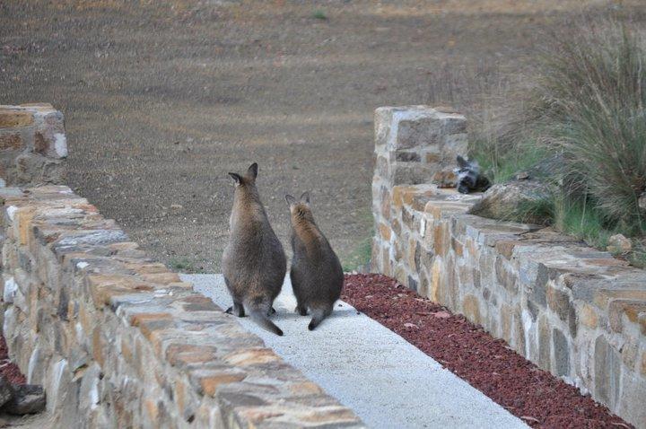 Blue Lake Lodge Steppes Экстерьер фото